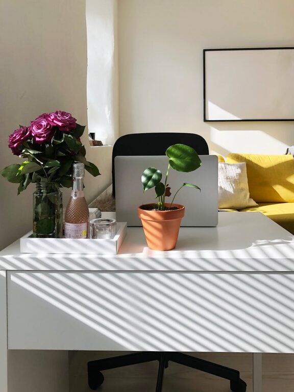 Tips for Creating a Comfortable and Productive Home Office Space